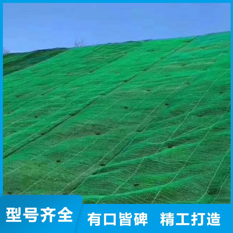 【三维植被网】_车库虹吸排水系统N年专注