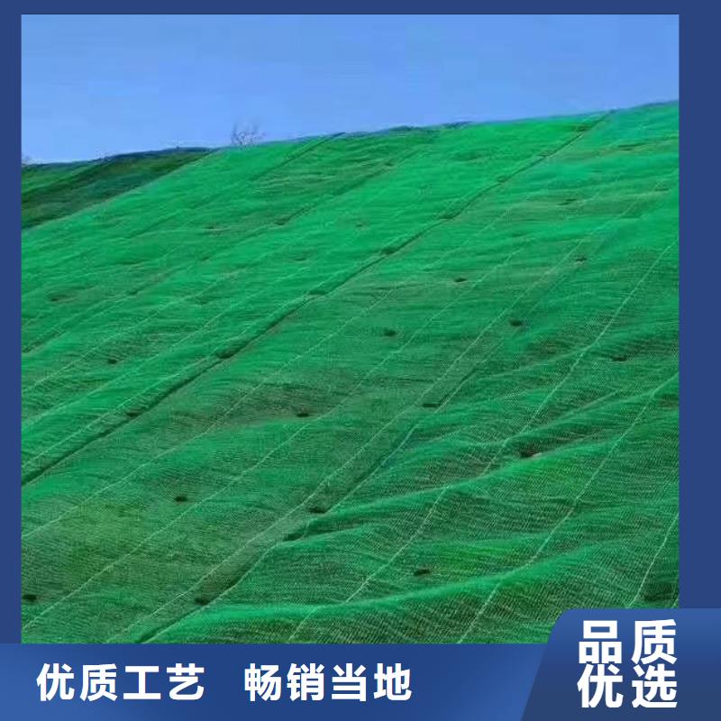 三维植被网植草格从源头保证品质