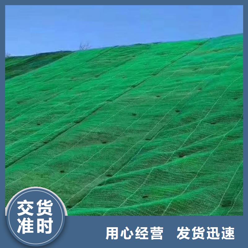 三维植被网【水泥化粪池】型号齐全