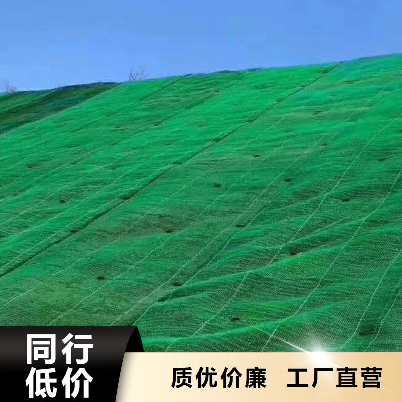 三维植被网水泥化粪池品质好才是硬道理