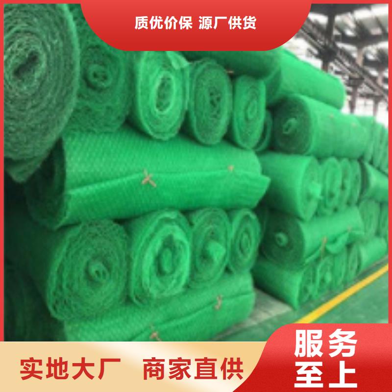 三维植被网防护虹吸排水收集系统源头厂家直销