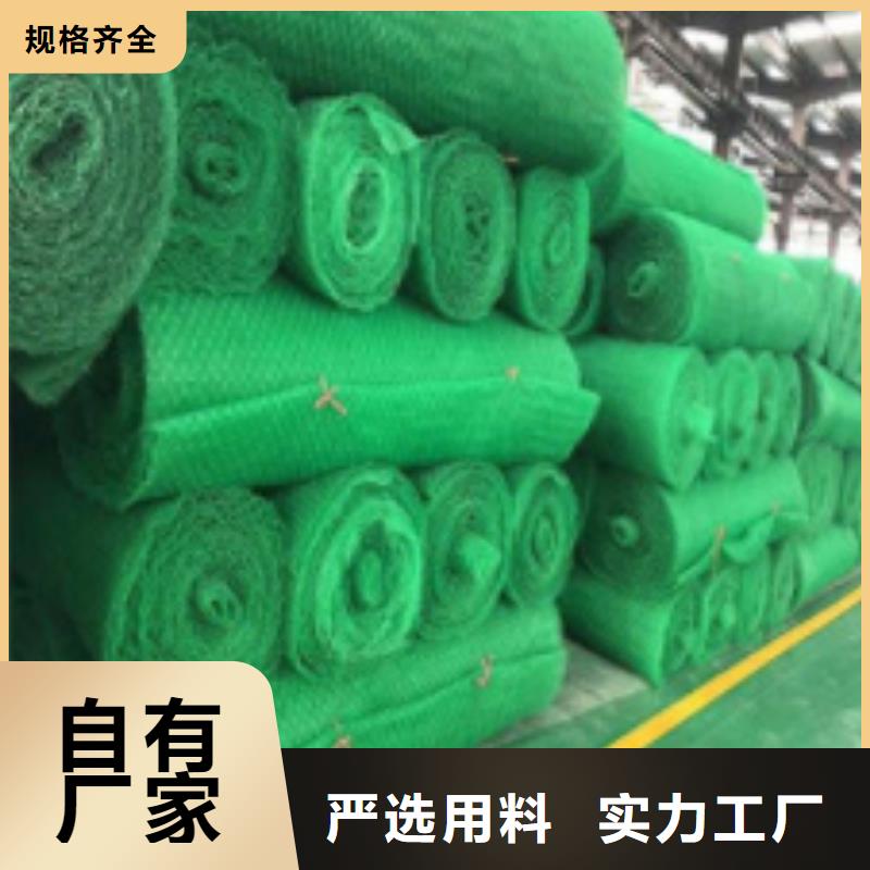 三维植被网防护虹吸排水收集系统敢与同行比服务
