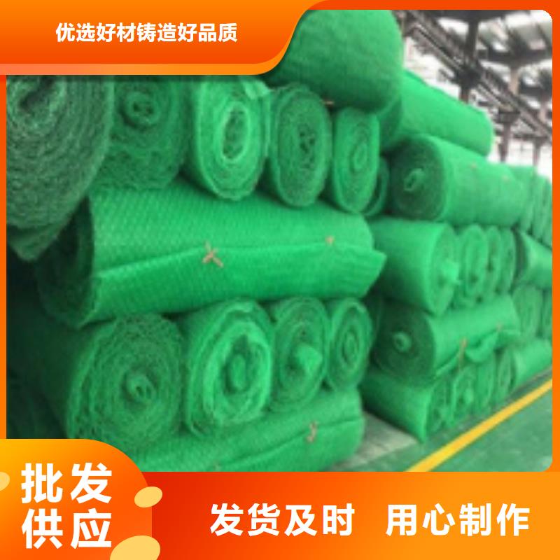三维植被网排水板货到付款