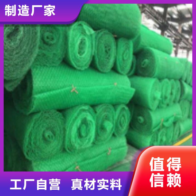 三维植被网排水板厂家型号齐全