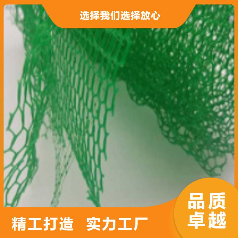 三维植被网排水板设计合理