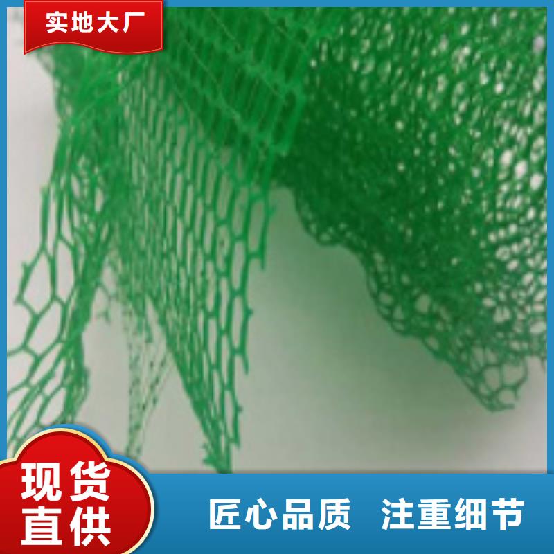 三维植被网防护虹吸排水收集系统用心服务