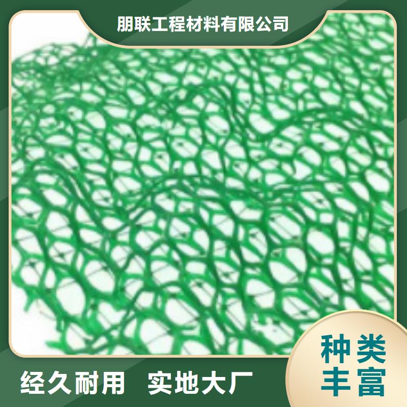 三维植被网_植草格重信誉厂家