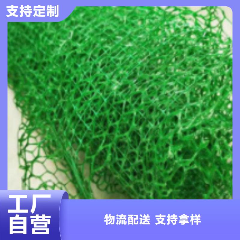 【三维植被网植草格厂家直销直供】