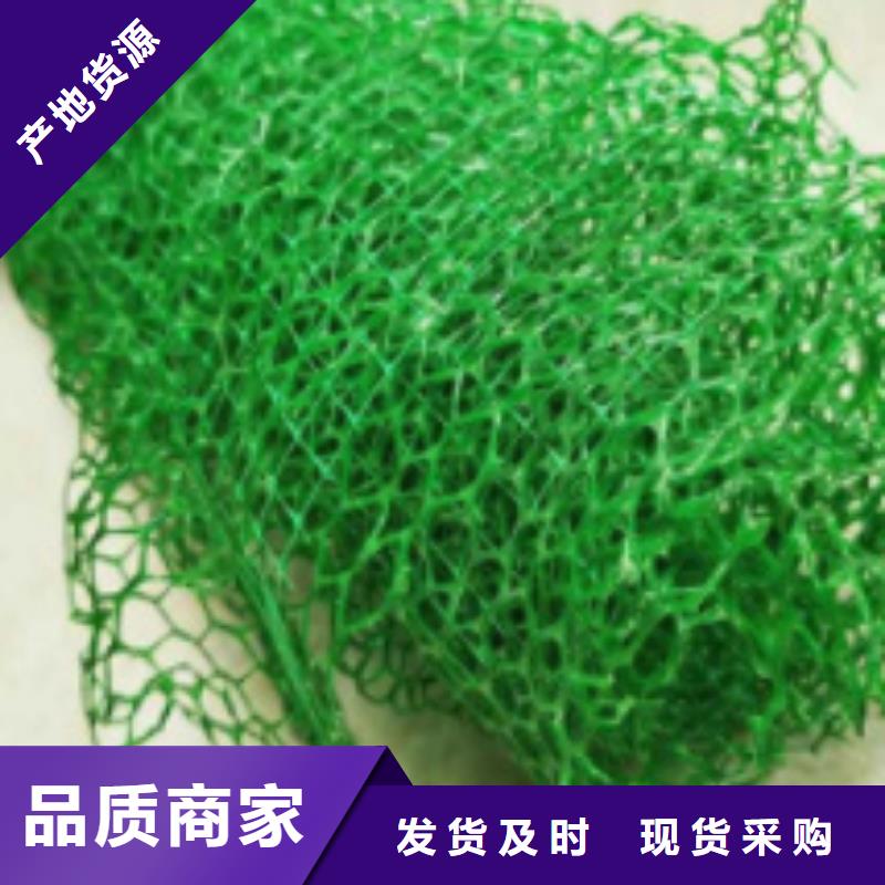 三维植被网防护虹吸排水收集系统敢与同行比服务