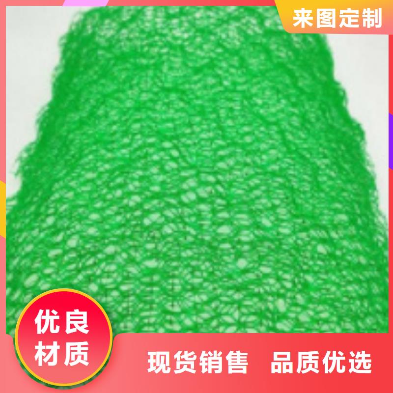 三维植被网排水板源头直供