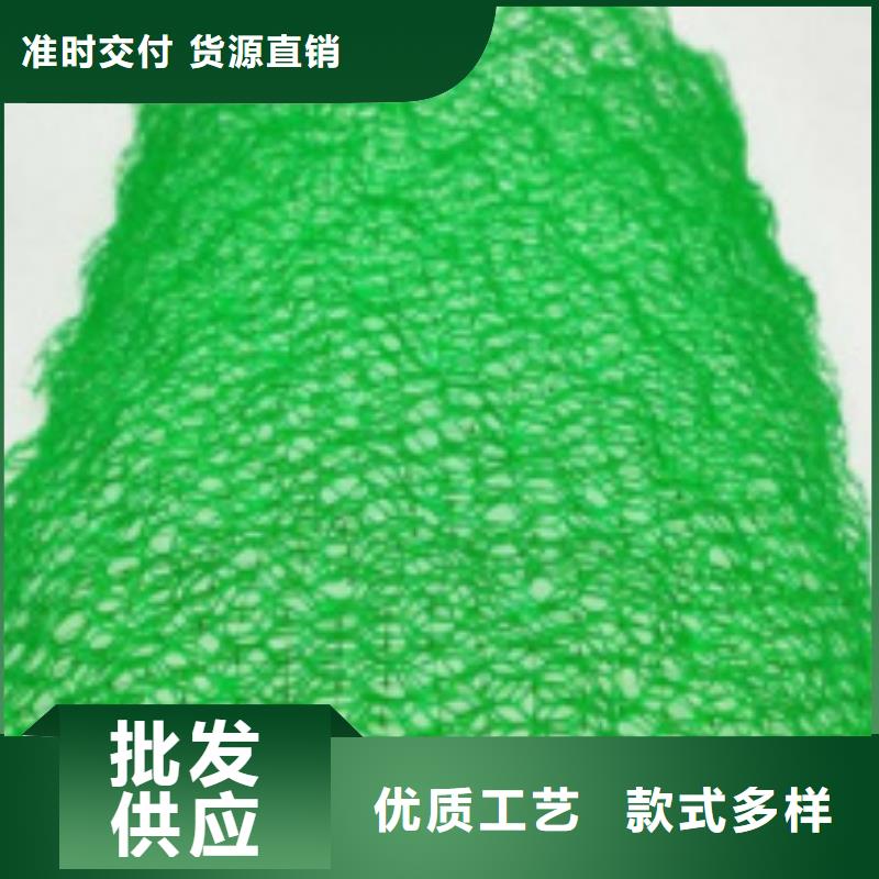 三维植被网水泥化粪池规格齐全实力厂家