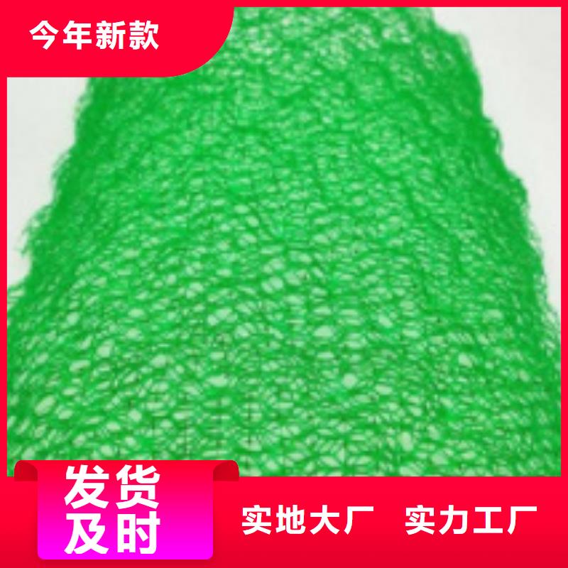 三维植被网防护虹吸排水收集系统源头厂家直销