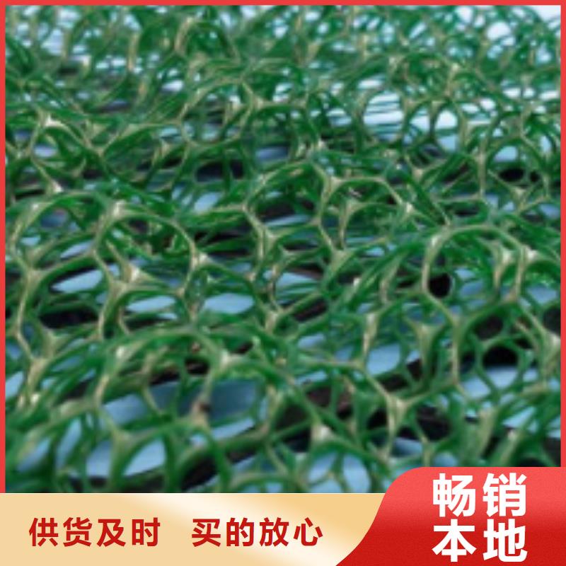 三维植被网水泥化粪池规格齐全实力厂家