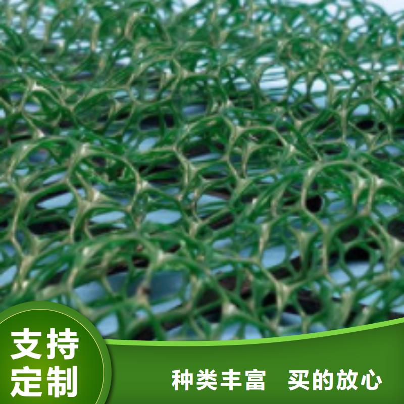 【三维植被网】防护虹吸排水收集系统多年厂家可靠