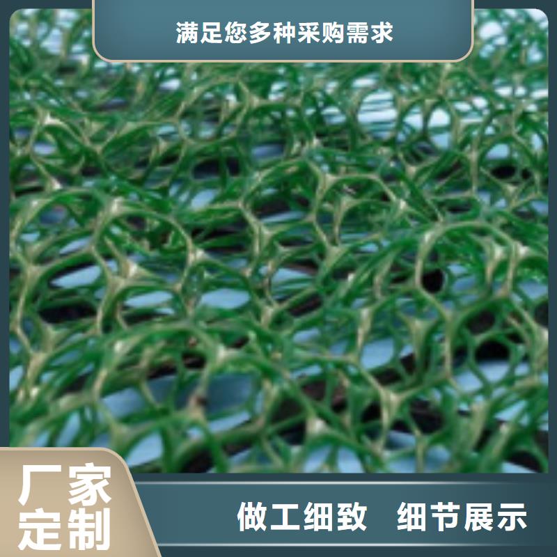 三维植被网化粪池水泥工厂价格