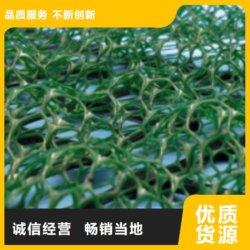三维植被网防护虹吸排水收集系统敢与同行比服务