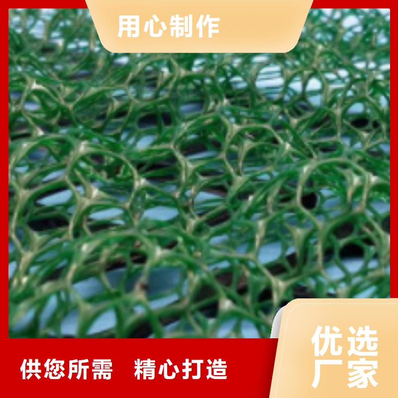 三维植被网防护虹吸排水收集系统品质服务
