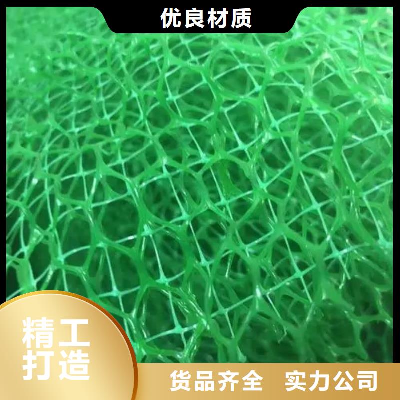 三维植被网防护虹吸排水收集系统真材实料
