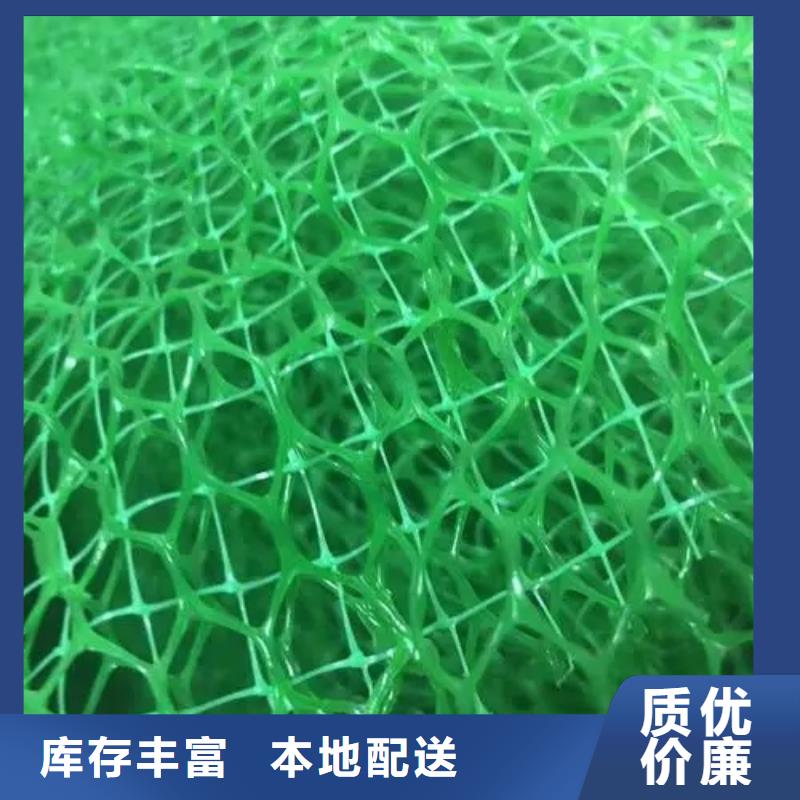 三维植被网排水板买的放心安兴用的舒心
