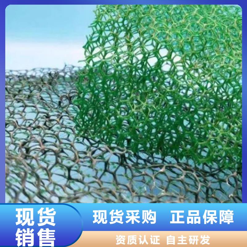 三维植被网-水泥化粪池通过检测