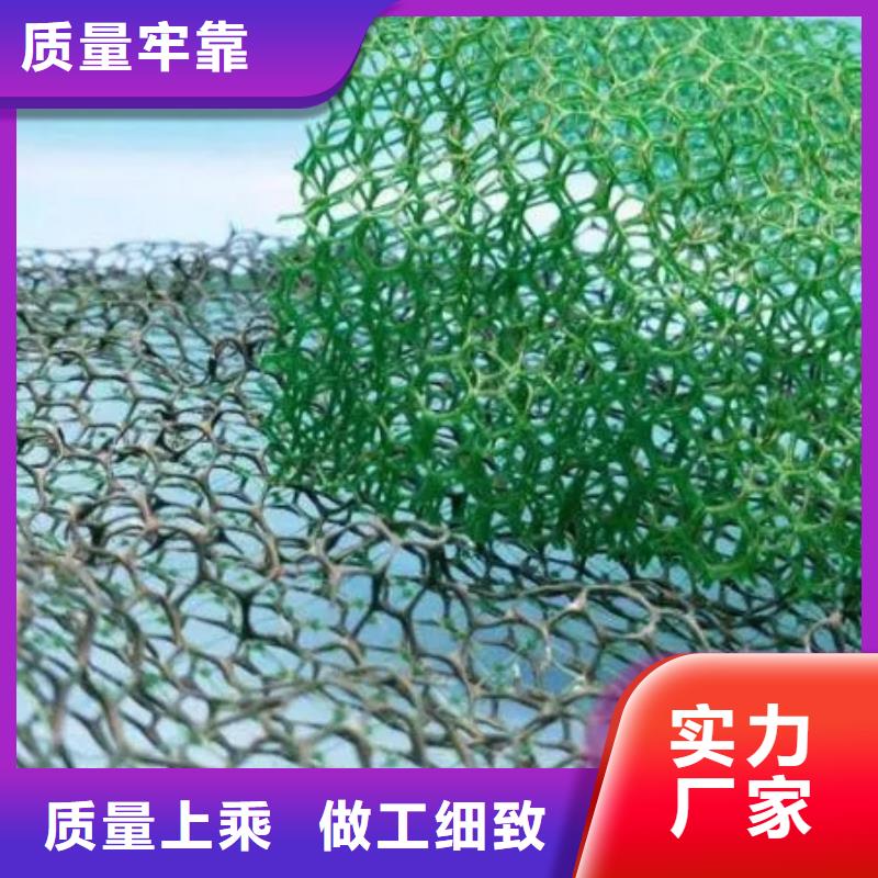 三维植被网水泥化粪池规格齐全实力厂家