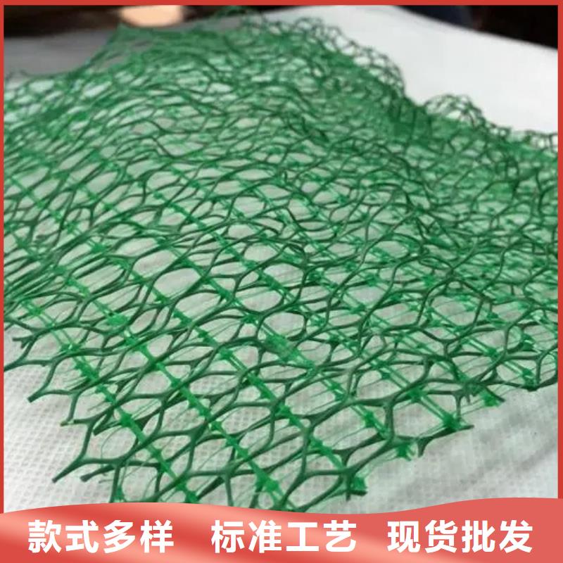 【三维植被网植草格好品质选我们】