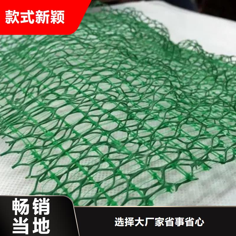 三维植被网,植草格放心购