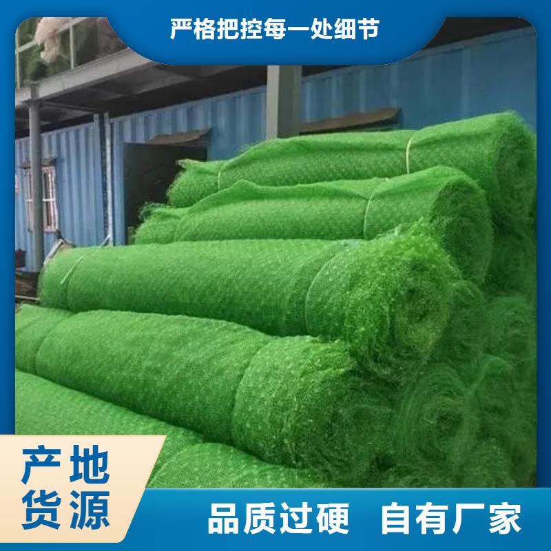 【三维植被网】植草格主推产品