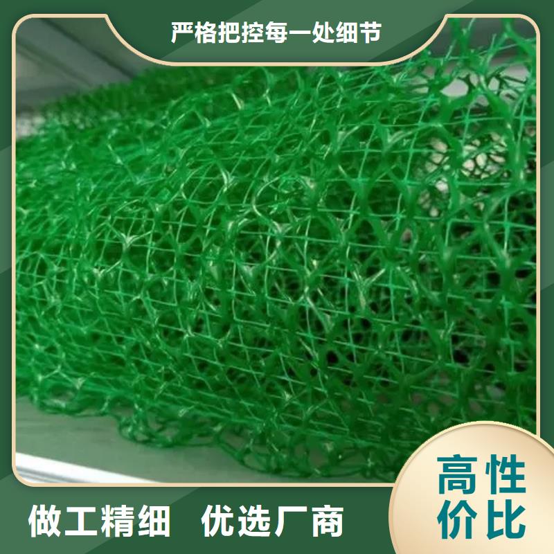 三维植被网水泥化粪池规格齐全实力厂家