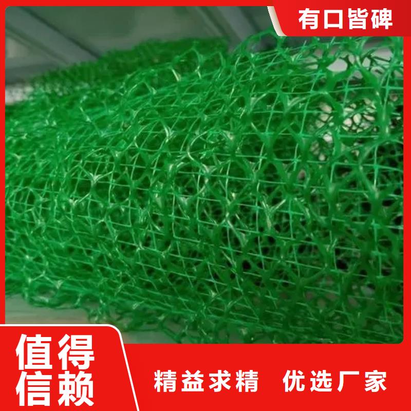 三维植被网防护虹吸排水收集系统用心服务