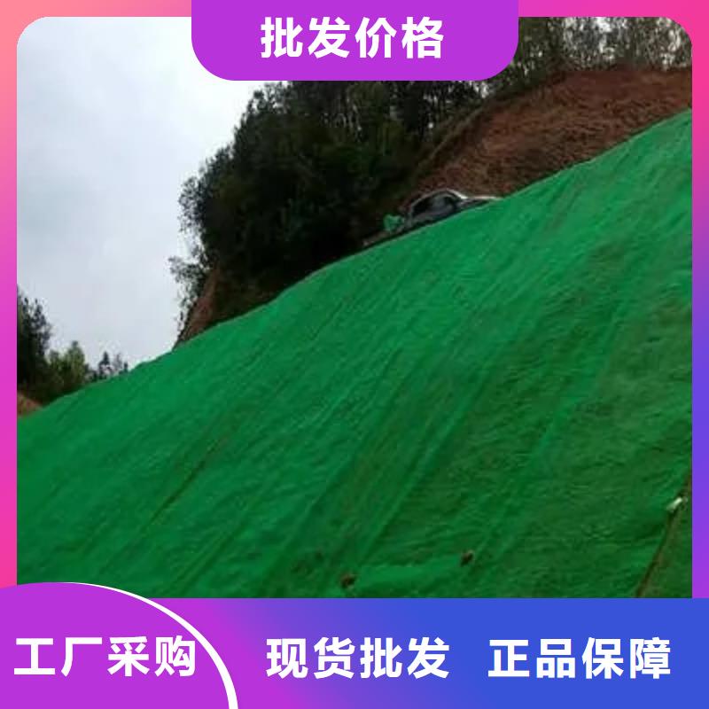 【三维植被网】排水板厂家拥有先进的设备