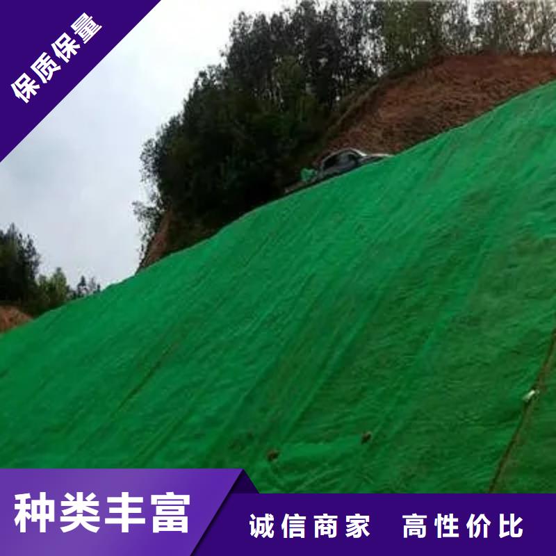三维植被网水泥化粪池多年行业经验