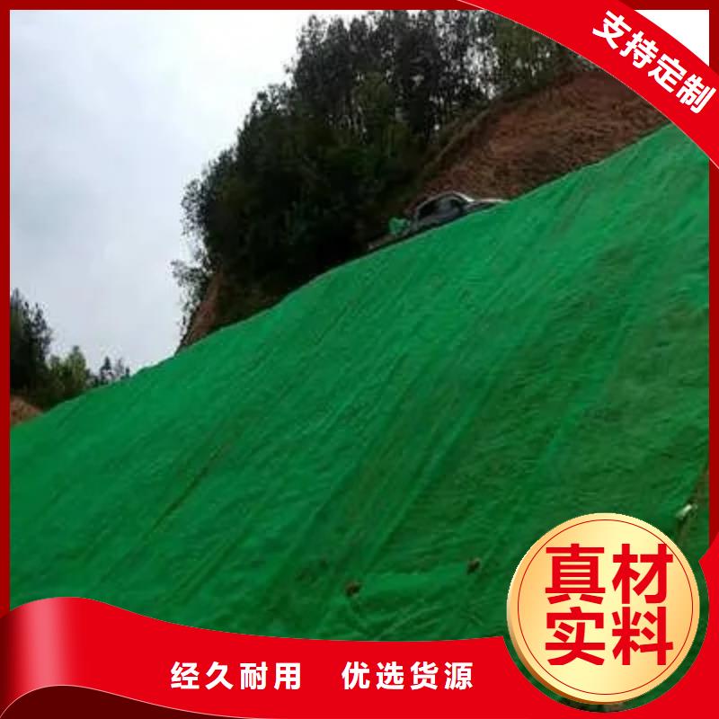 三维植被网植草格0中间商差价