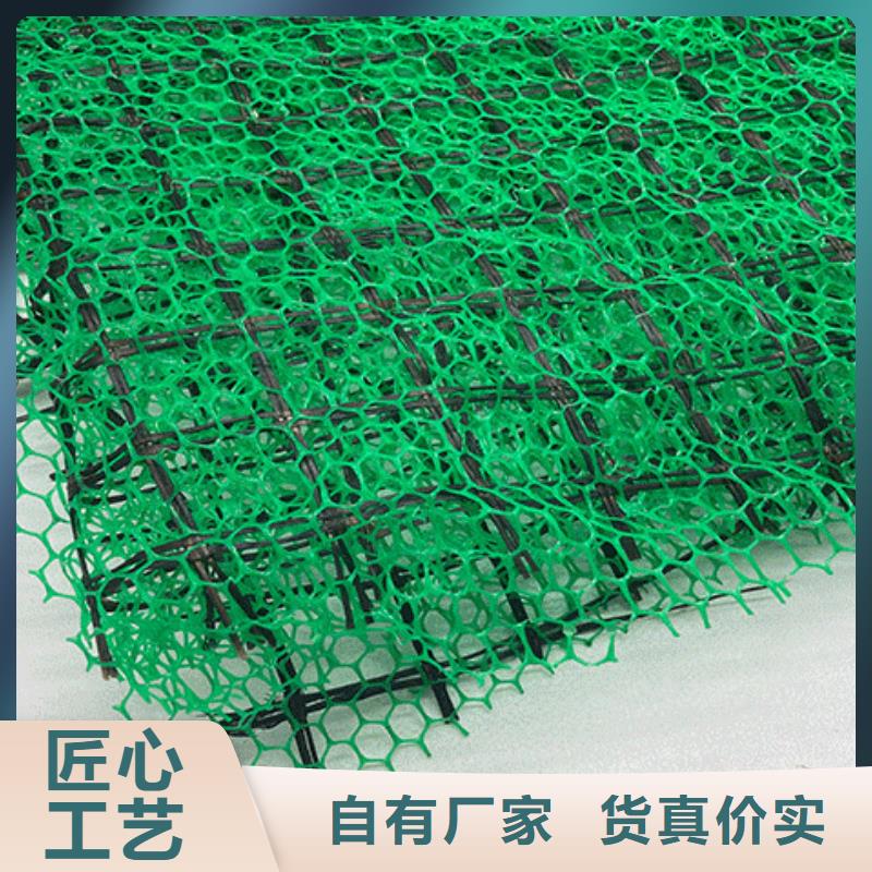 三维植被网水泥化粪池把实惠留给您