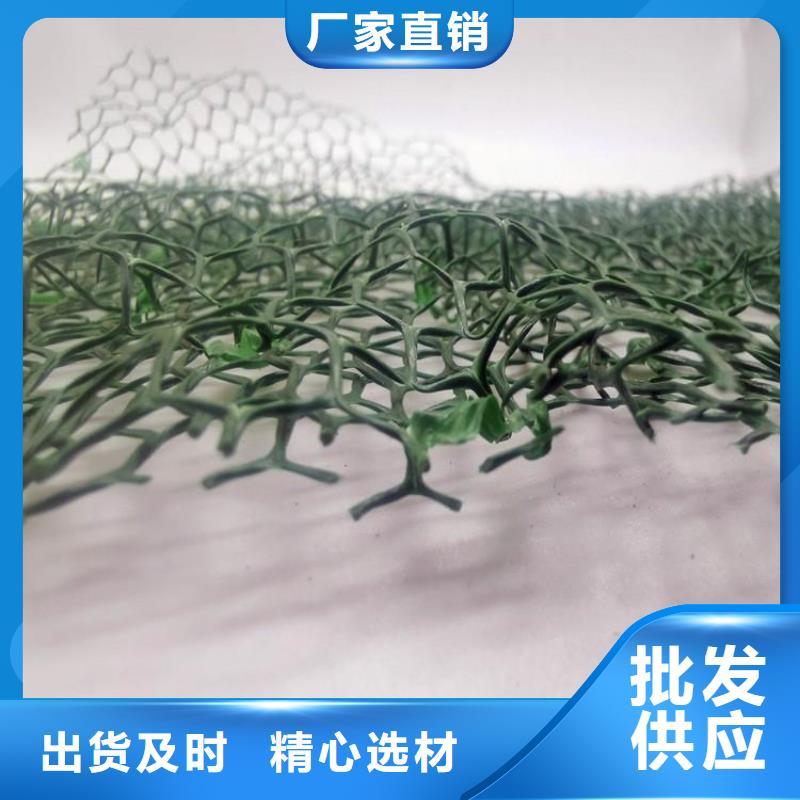 三维植被网植草格实拍品质保障
