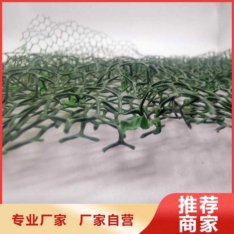 三维植被网水泥化粪池精选厂家好货