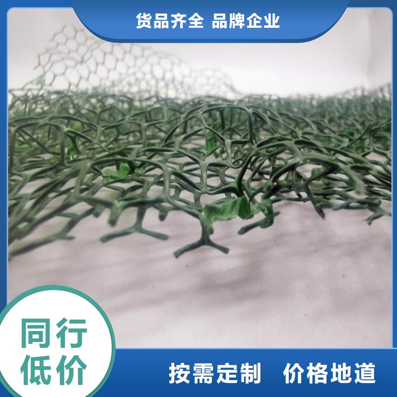 三维植被网水泥化粪池多年行业经验