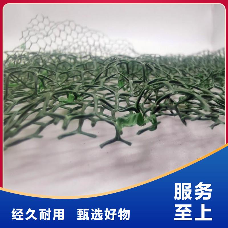三维植被网【水泥化粪池】型号齐全