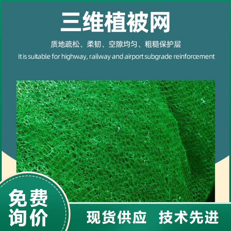 【三维植被网】排水板一手货源源头厂家