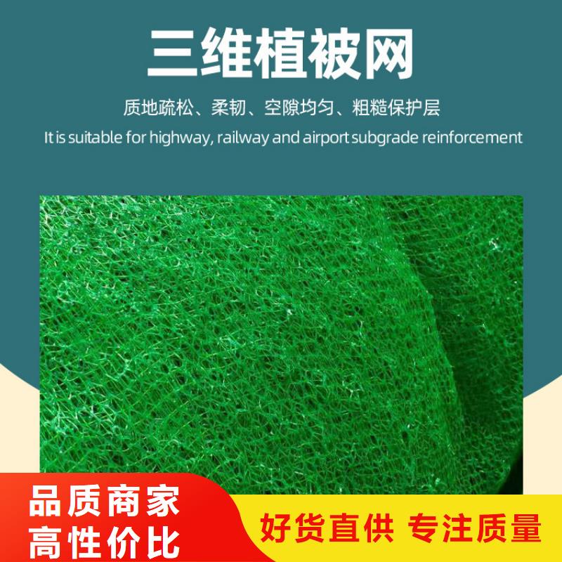 三维植被网【植草格】放心购