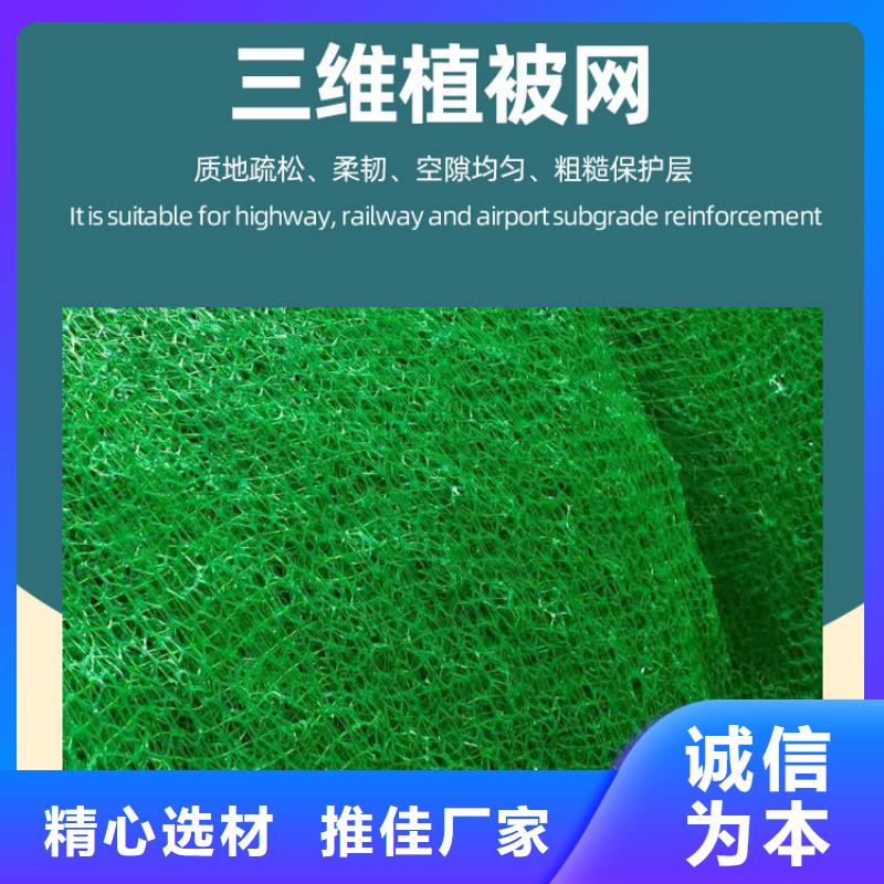 三维植被网水泥化粪池把实惠留给您
