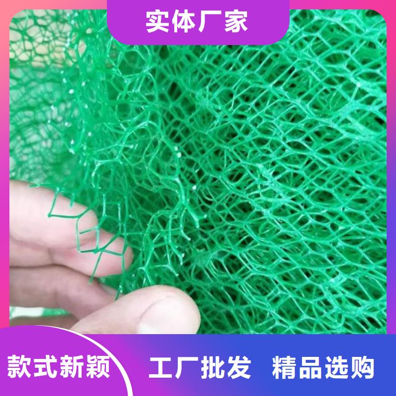 三维植被网排水板厂家工艺先进
