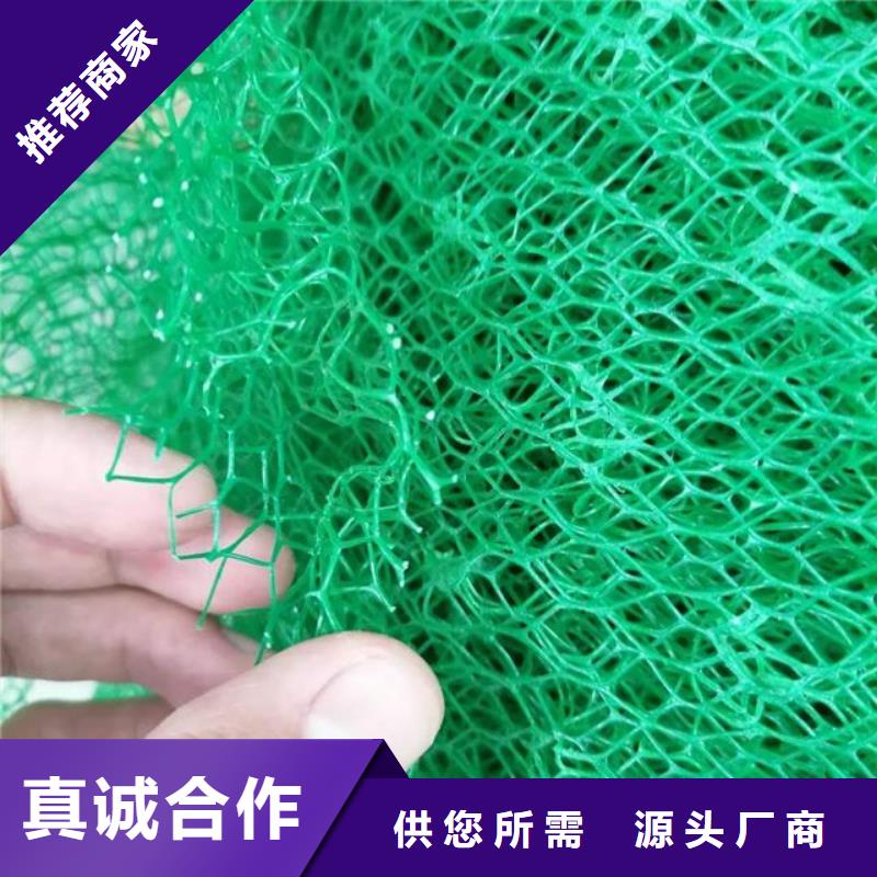 三维植被网防护虹吸排水收集系统做工精细