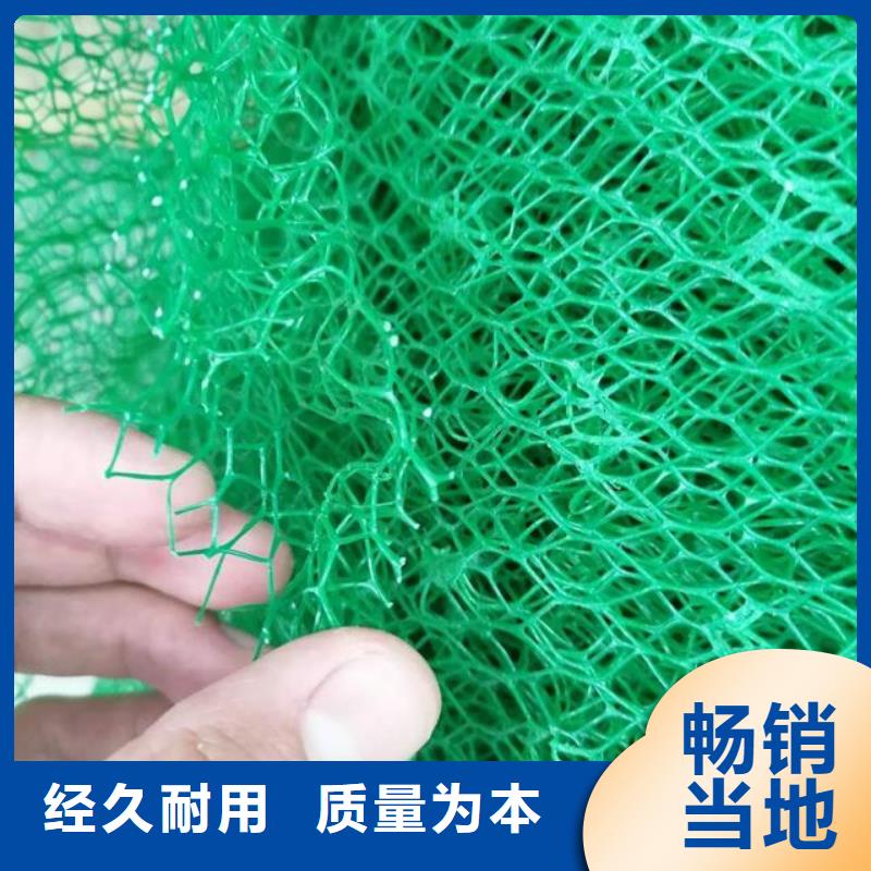 三维植被网排水板厂家工艺先进