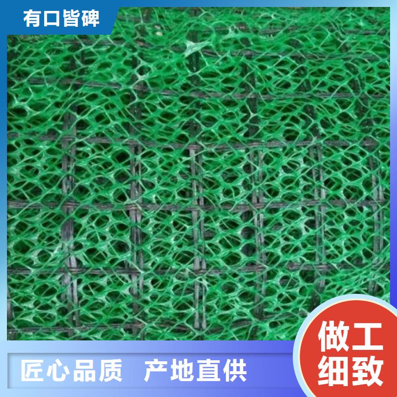 三维植被网【植草格】放心购