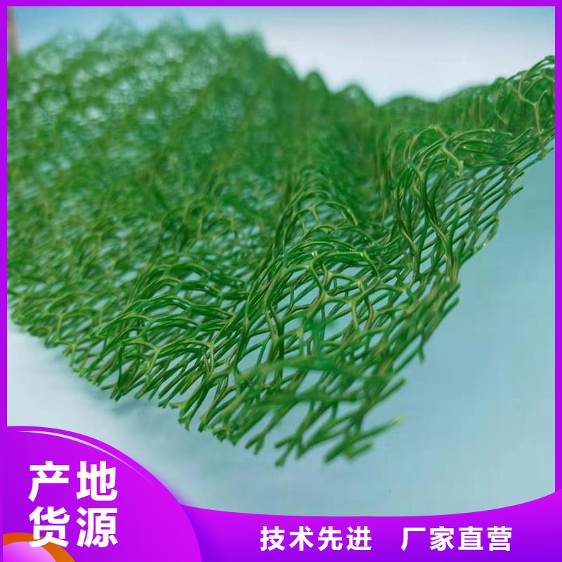 三维植被网排水板货到付款