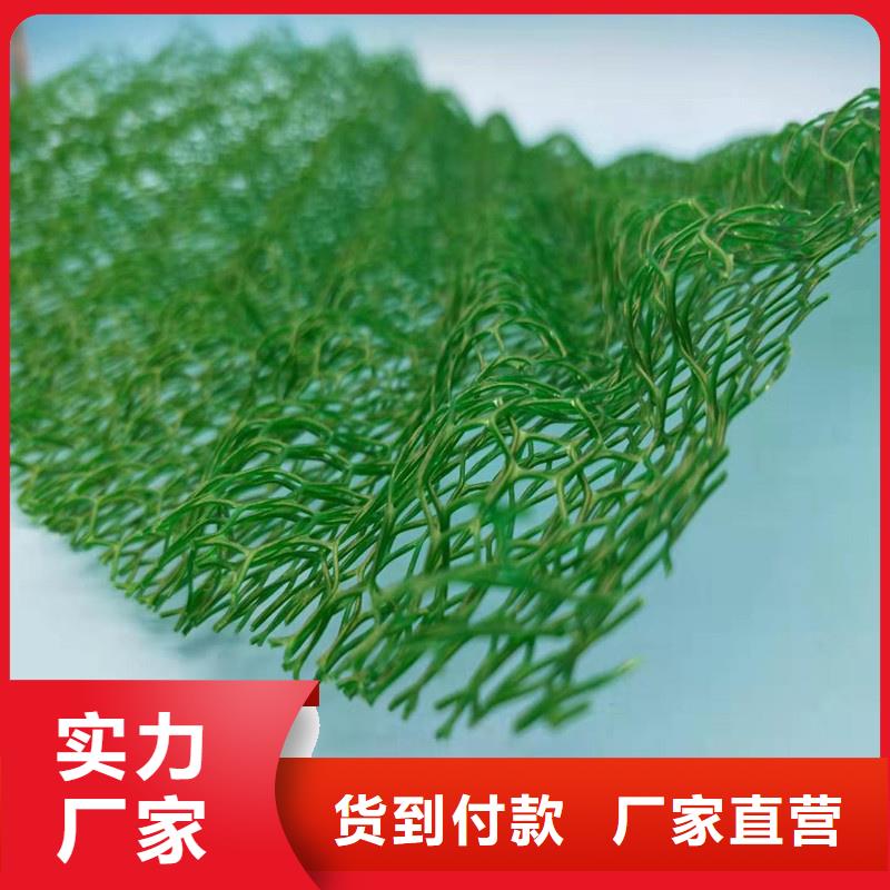 三维植被网植草格海量货源