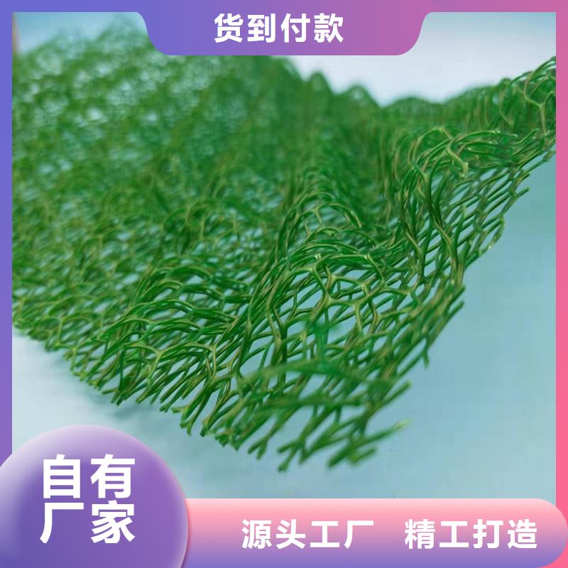 三维植被网_植草格重信誉厂家