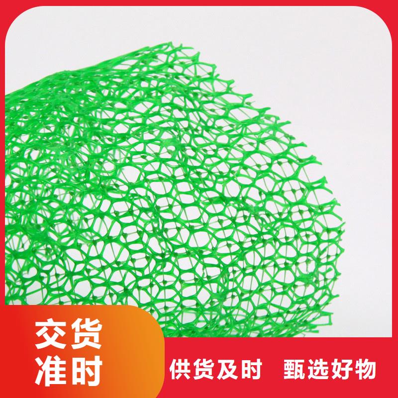 三维植被网排水板货到付款