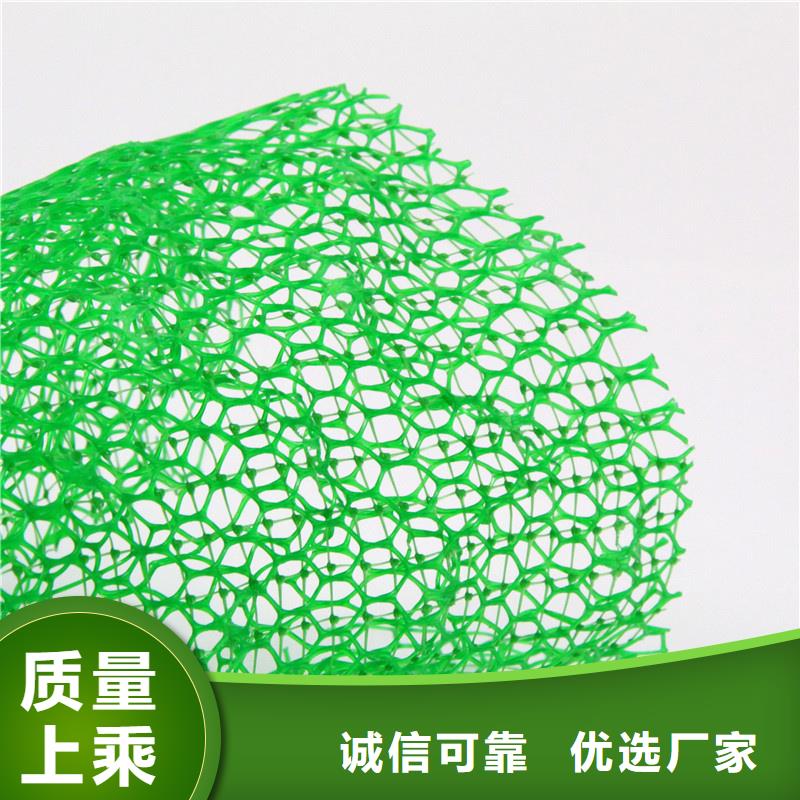 三维植被网-防护虹吸排水收集系统厂家直销